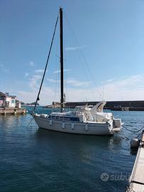 Motorsailer Meteor M8 Yanmar