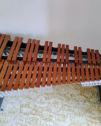 Xilomarimba Kosth 4 ottave
