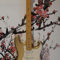 Voodoocaster Stratocaster