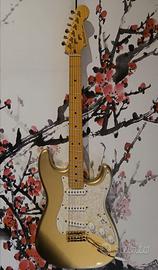Voodoocaster Stratocaster