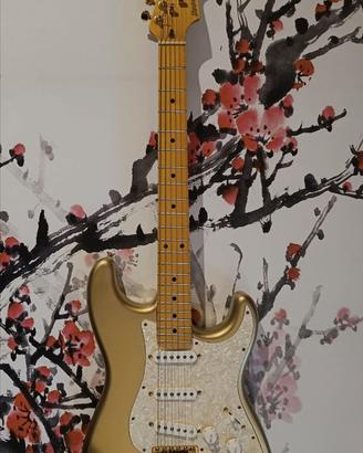 Voodoocaster Stratocaster