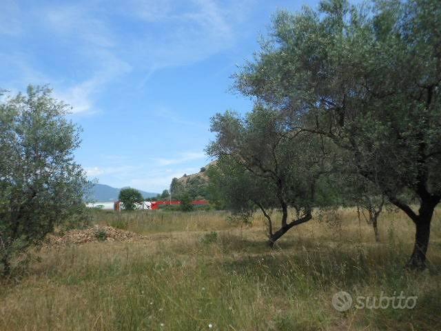 Terreno di 3300 m² a Vairano Patenora - Vista 3