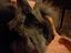 Immagine 1