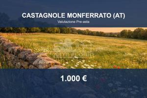 Immobile in asta di 3290 m² a Castagnole Monferrat