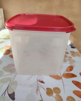 Contenitore Tupperware originale
