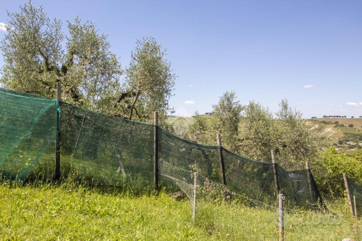 TER. AGRICOLO A MONTEROTONDO - Vista 6