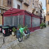  tenda commerciale 