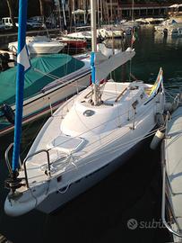 Barca a vela 7,5 m Zuanelli Z25