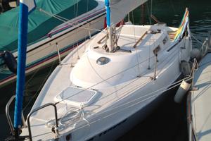 Barca a vela 7,5 m Zuanelli Z25