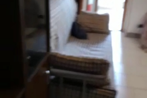 Ultima disponibilità