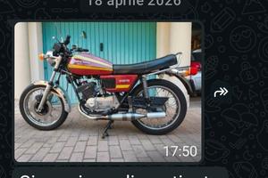 marmitte per guzzi/benelli 250 2c 