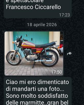 marmitte per guzzi/benelli 250 2c 