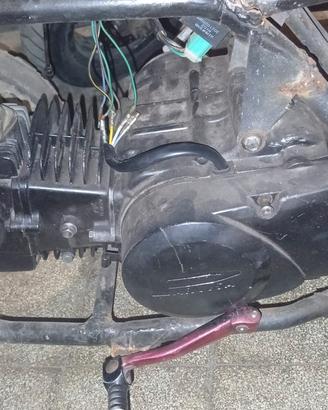 MOTORE PIT BIKE 140 4T 