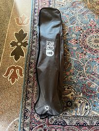 Sacca Snowboard Picture