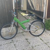 Bicicletta Pininfarina verde MTB