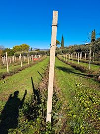 Pali cemento per vigneto recinzioni 30 cent