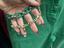 Immagine 5