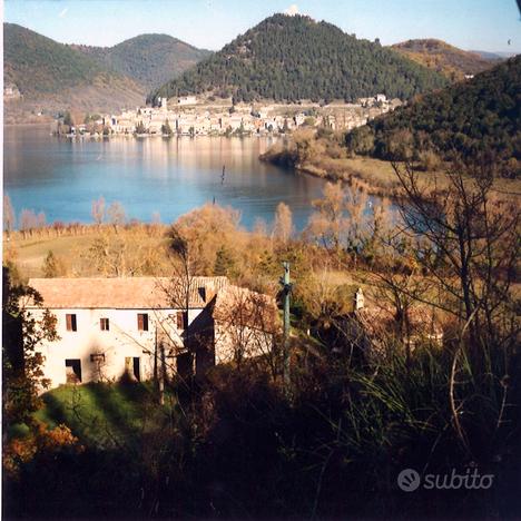 Sul Lago di Piediluco due rustici Terreno 7 ettari