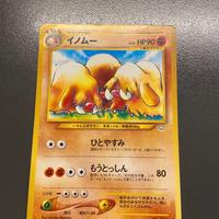 Piloswine JAP 221