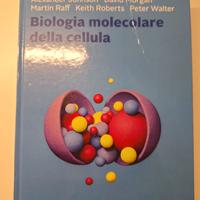 BIOLOGIA MOLECOLARE DELLA CELLULA