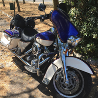 Electra glide