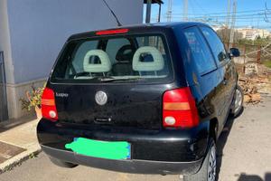 Lupo 1.000 NON MARCIANTE