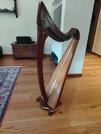 Arpa celtica Morbidelli 34