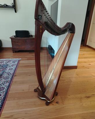 Arpa celtica Morbidelli 34