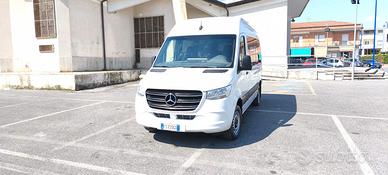Mercedes Sprinter 9 Posti