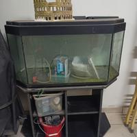 acquario 200 lt