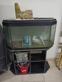 acquario 200 lt
