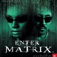 Videogiochi PC videogames