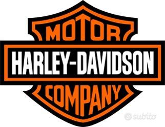 meccanico Harley Davidson