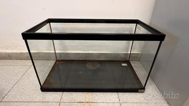 Acquario in vetro con cornice nera
