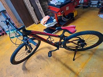 Mountain bike