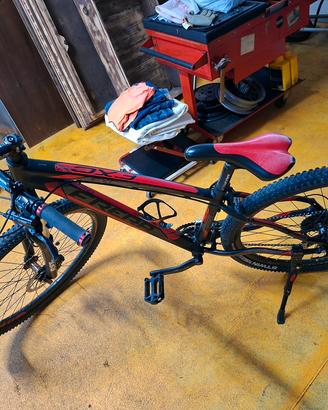 Mountain bike