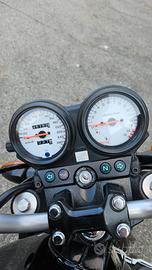 honda hornet 600