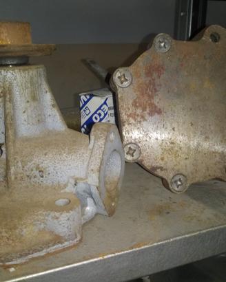 POMPA ACQUA IVEC FIAT OM LEONCINO LUPETTO TIGROTTO