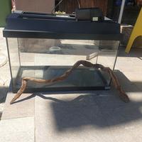 acquario 60lt con accessori 