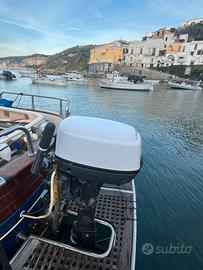 Motore fuoribordo selva 9,99 cv