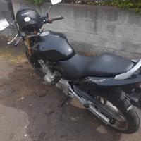 Honda Hornet - 2006