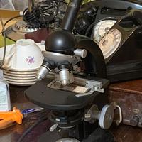 Microscopio Zeiss 98881