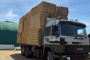 Camion 190/36 guidabile con patente B