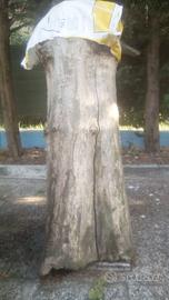 ceppo tronco legno per sculture