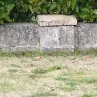 chianche inizio 900 