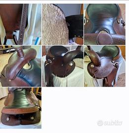 Cavallo sella americana