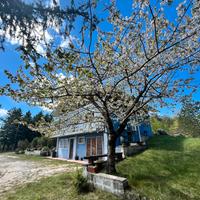 Chalet ricciano Vacanze Cuore verde d'Italia