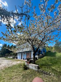 Chalet ricciano Vacanze Cuore verde d'Italia