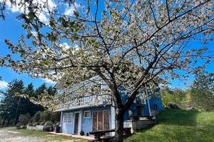 Chalet ricciano Vacanze Cuore verde d'Italia