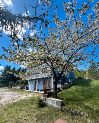 Chalet ricciano Vacanze Cuore verde d'Italia